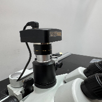 Amscope Stereo Microscope image 2
